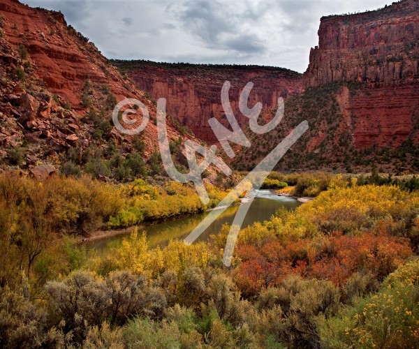 COLORADO San Miguel River